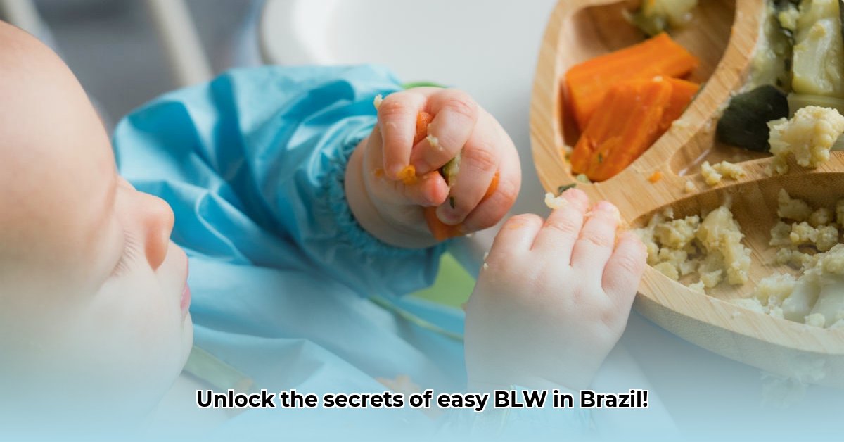 blw-brasil
